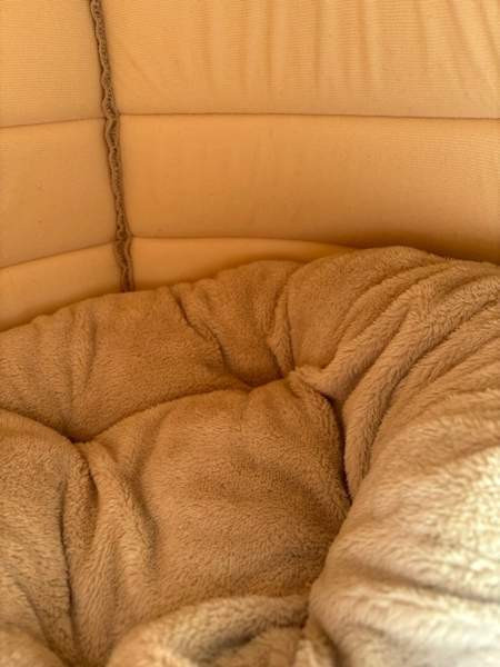 Uusi koiran/kissan peti Helsinki - изображение 2