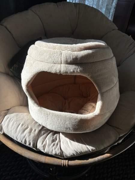 Uusi koiran/kissan peti Helsinki - изображение 1