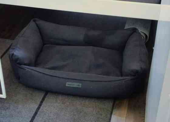 Trixie Farello koiranpeti 100 x 70 cm Helsinki