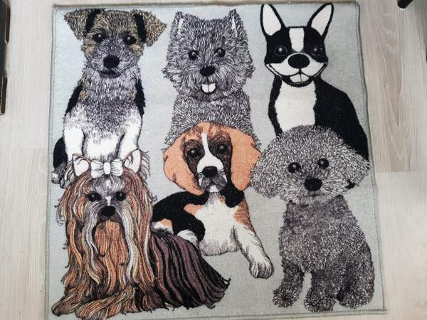 Koiran peti ja muut tarvikkeet. Vantaa – foto 1