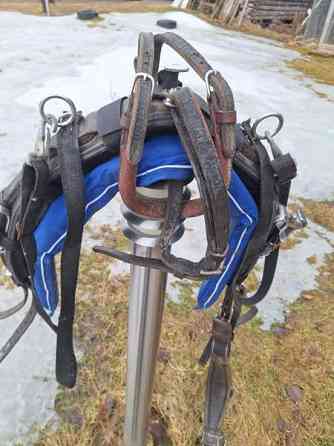 silapaketti Kruunupyy