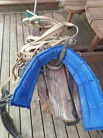 silapaketti Kruunupyy