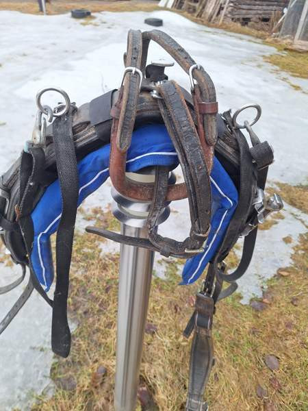 silapaketti Kruunupyy – foto 2