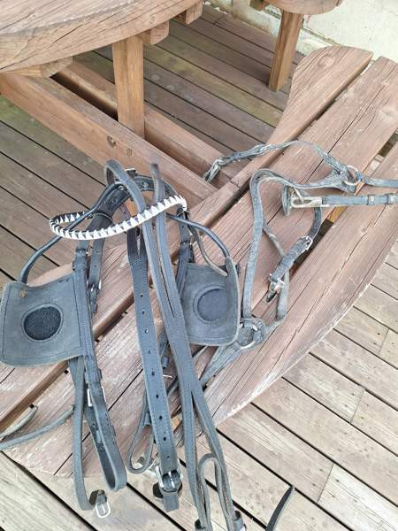 silapaketti Kruunupyy – foto 4