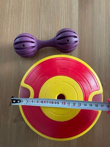 Koiran aktivointilelut Kuopio - valokuva 2