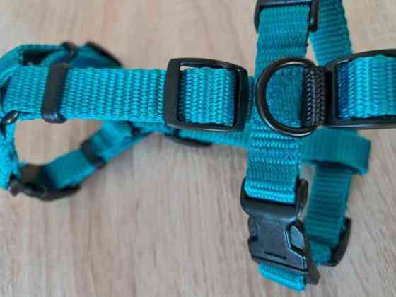 Käyttämättömät MeggyTrails kissan turvavaljaat koko S. (Katso mitat kuvasta). Lahti