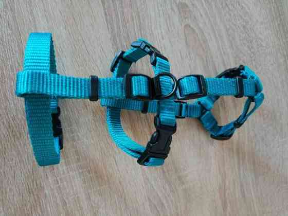 Käyttämättömät MeggyTrails kissan turvavaljaat koko S. (Katso mitat kuvasta). Lahti