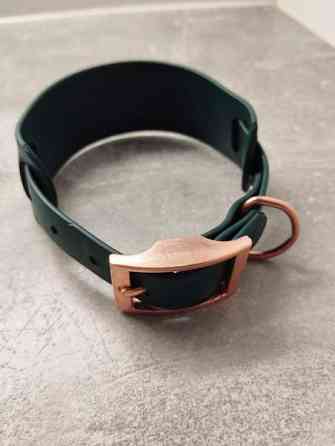 Koiran kaulapanta Tornio