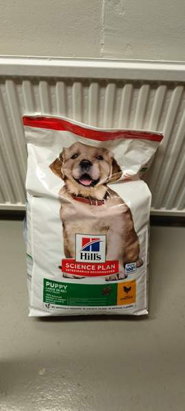 Large puppy 12kg x 2 Jyvaeskylae - photo 1