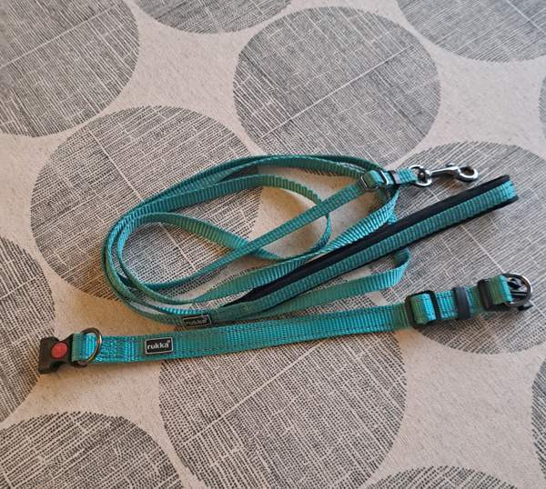 Kaulapanta ja talutin pennulle tai pienelle koiralle Jyvaeskylae - photo 1