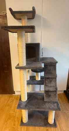 Kissan kiipeily/raapimapuu Sipoo