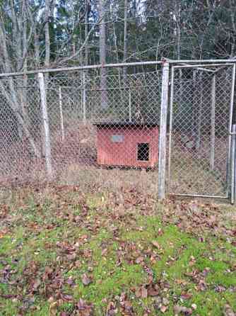 Koiratarha+koppi Jyvaeskylae