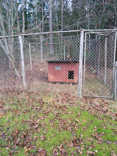 Koiratarha+koppi Jyväskylä - valokuva 1