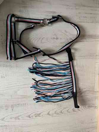 Riimu kärpäspannan kanssa Куопио