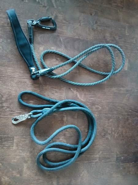 Koiralle talvitakki ja 2 hihnaa Oulu - valokuva 2