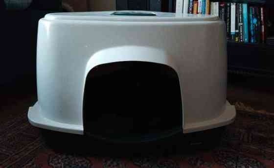 Kissan hiekkalaatikko Helsinki