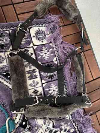 JH collection riimu COB Helsinki