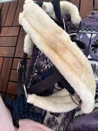 Horze riimu ja naru FULL Helsinki