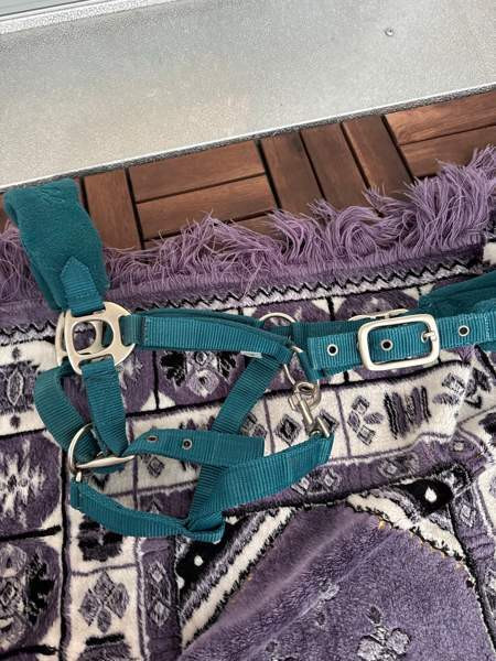 Fairfield riimu COB Helsinki – foto 2