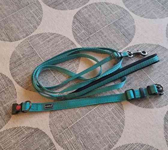 Panta ja talutin pennulle/pienelle koiralle Jyvaeskylae