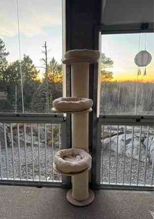 Kissan kiipeily-/raapimapuu Helsinki