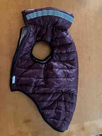 Pienen koiran talvitakki,uusi! Vaasa