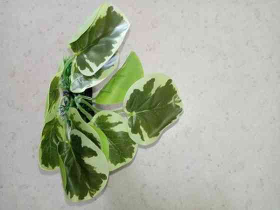 Muovi kasveja /terraarioon Rovaniemi