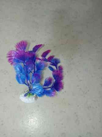 Muovi kasveja /terraarioon Rovaniemi