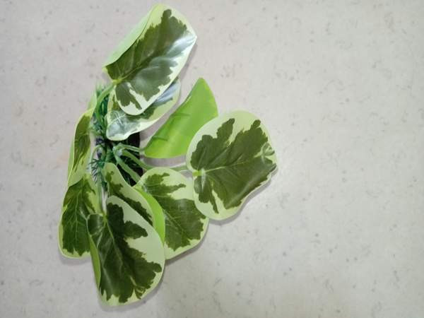 Muovi kasveja /terraarioon Rovaniemi – foto 5