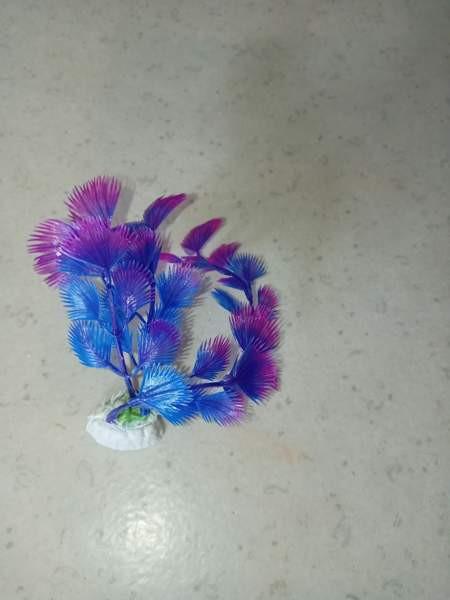 Muovi kasveja /terraarioon Rovaniemi – foto 4