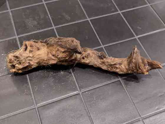 Juurakko kanto akvaarioon Эспоо