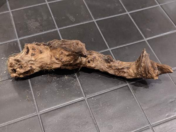 Juurakko kanto akvaarioon Espoo - valokuva 1