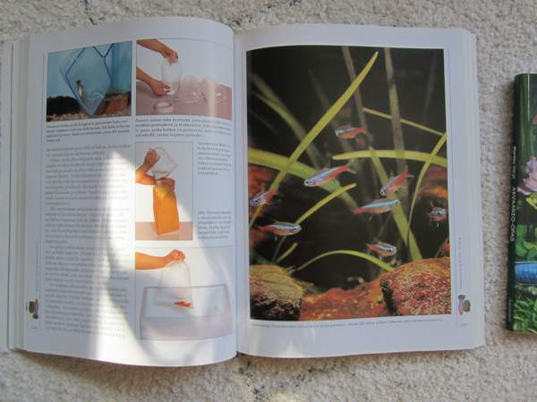 akvaariokirja Ylöjärvi - valokuva 1