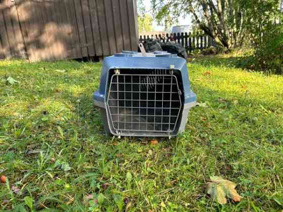 Marsun kantokoppa Jaervenpaeae