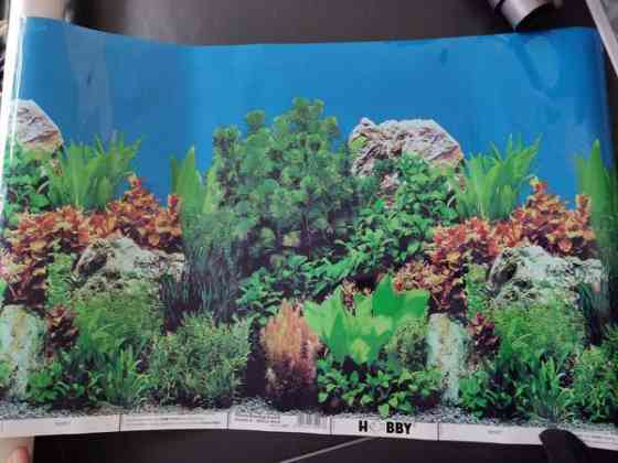 Akvaario taustakuva 2-puoleinen Эспоо