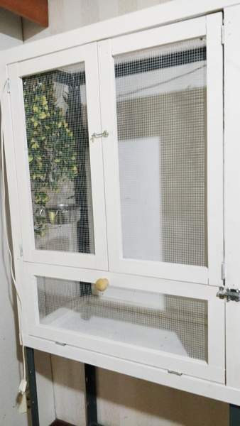 Iso lintu häkki + pieni häkki Akaa - valokuva 4