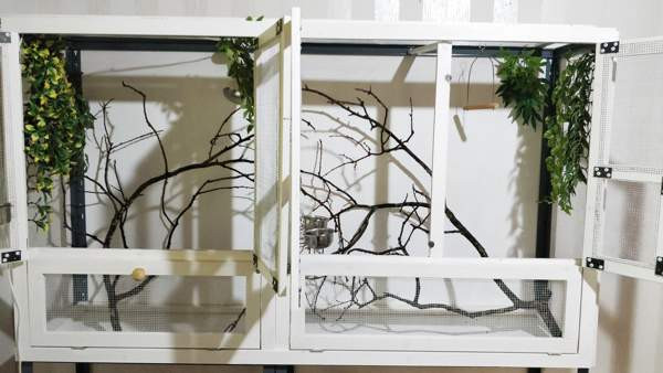 Iso lintu häkki + pieni häkki Akaa - valokuva 2