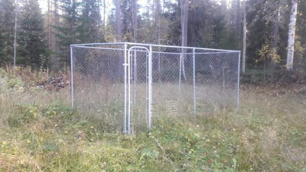 Koiran ulkohäkki/koiratarha/kanatarha VARATTU Sievi – foto 1