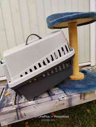 Marsulle kissalle tai pienelle koiralle Pyhäjoki