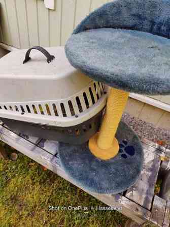 Marsulle kissalle tai pienelle koiralle Pyhäjoki