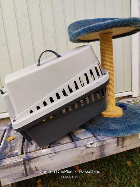 Marsulle kissalle tai pienelle koiralle Pyhäjoki - valokuva 1