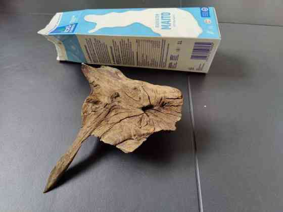 Juurakko akvaarioon Эспоо