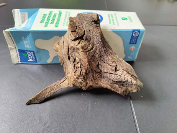 Juurakko akvaarioon Эспоо - изображение 4