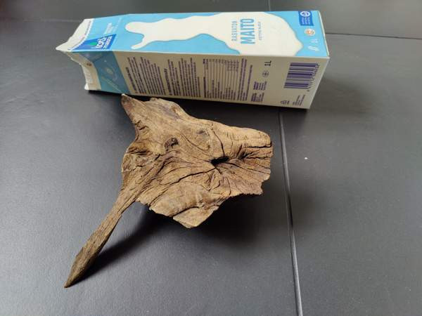 Juurakko akvaarioon Эспоо - изображение 2