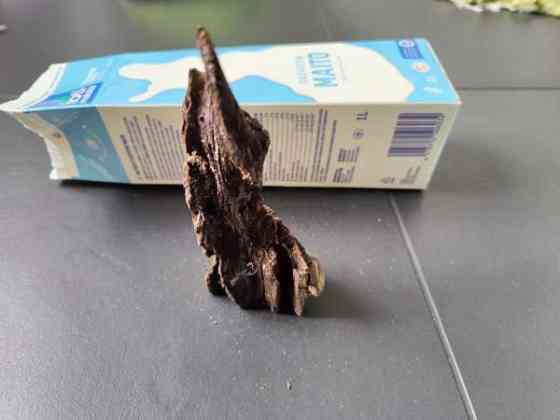 Juurakko akvaarioon Эспоо