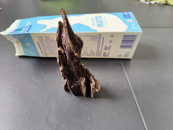 Juurakko akvaarioon Espoo - photo 3