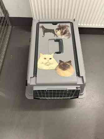 Kantohäkki x 2 isoja Helsinki