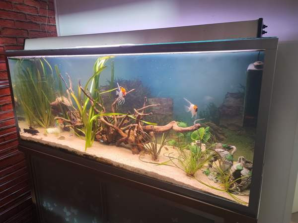 Akvaario 350 L ja tukeva alusta Loviisa – foto 1