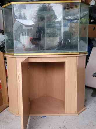 Kulma-akvaario / terraario kaapilla Ypäjä