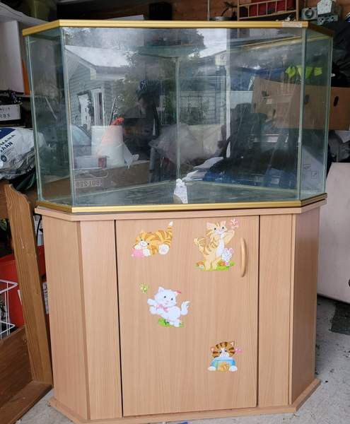 Kulma-akvaario / terraario kaapilla Ypäjä – foto 2